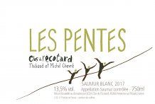 Clos de l'Ecotard Les Pentes 2017 Label